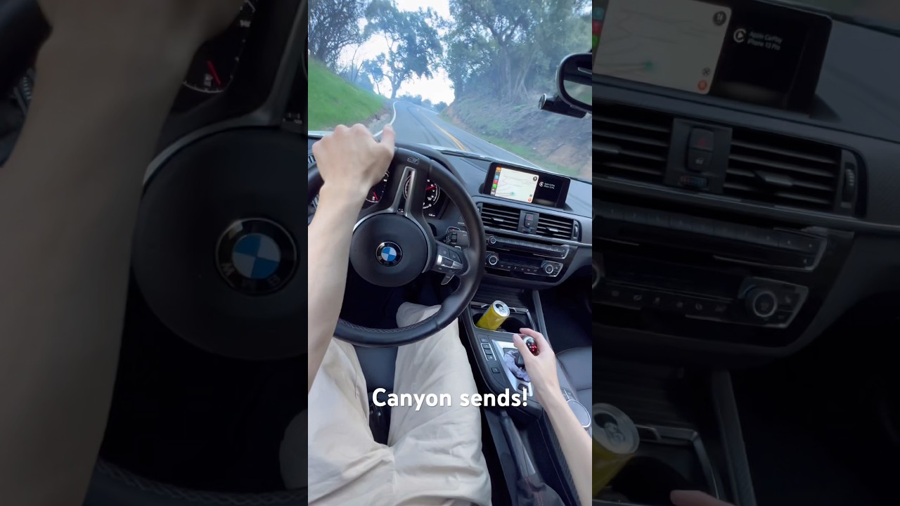 BMW F87 m2 sliding in the canyons! #automobile #bmwm #bmwmmotorsport #cartok #drift #silent