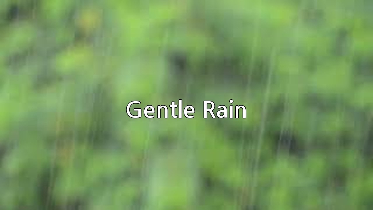 Quiet Rain Sounds for Reading and Working