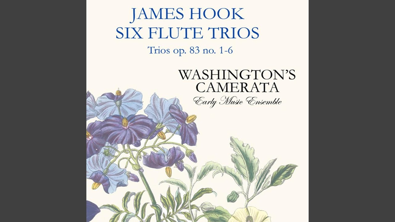 Trio No. 5 in D Major, Op 83: I. Allegro Moderato