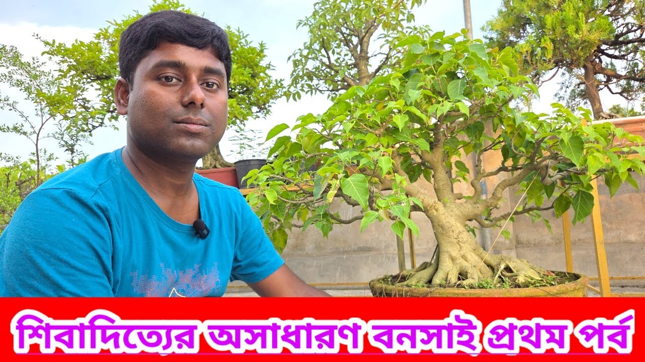 Beautiful Bonsai Of Shibaditya Malik First Part || Bengal Bonsai ||