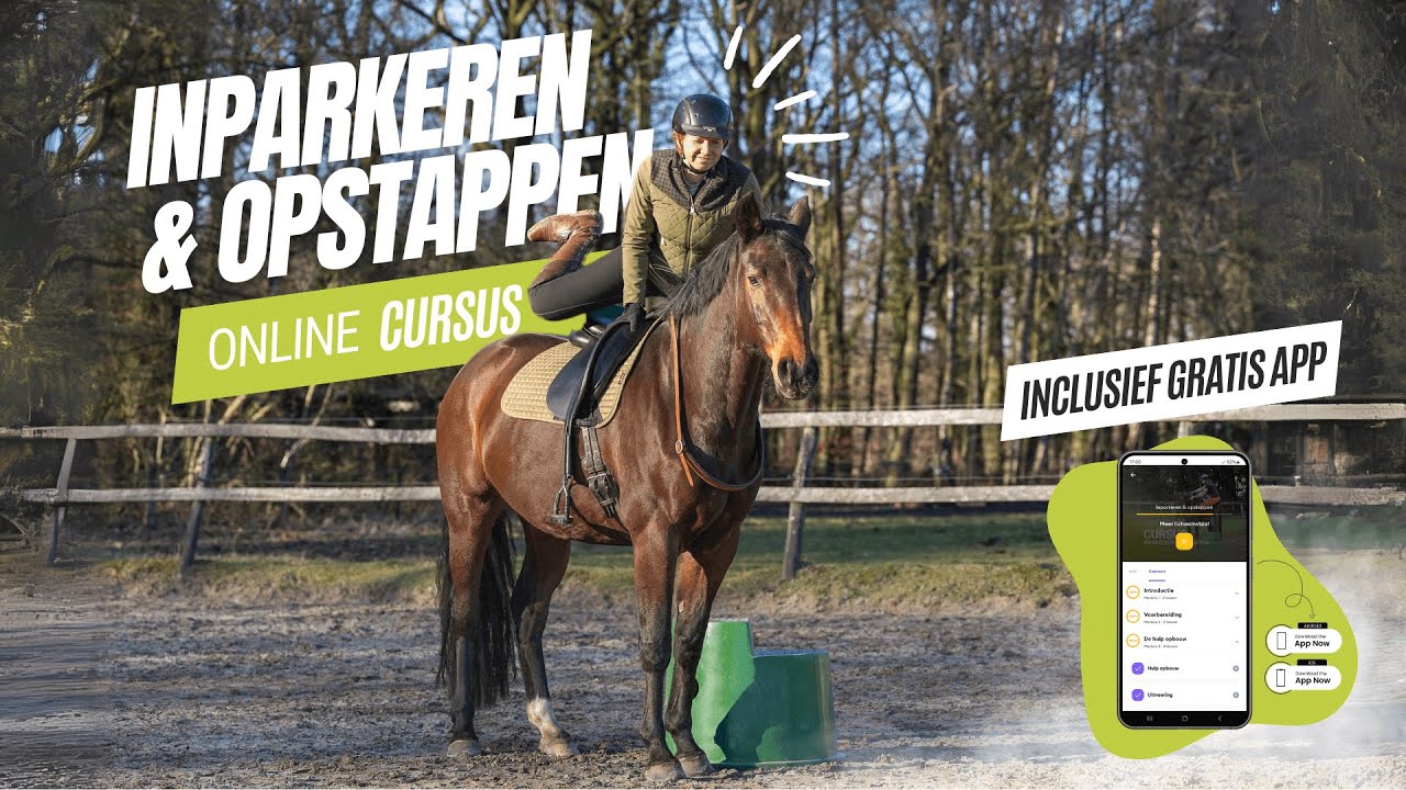 Enjoy The Connection - Online Cursus - Inparkeren & Opstappen