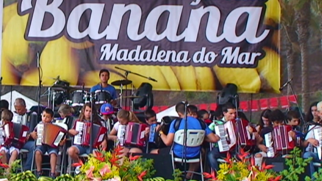 Grupo de acordeonistas da casa do povo da ponta do sol. Mostra regional da banana 2017