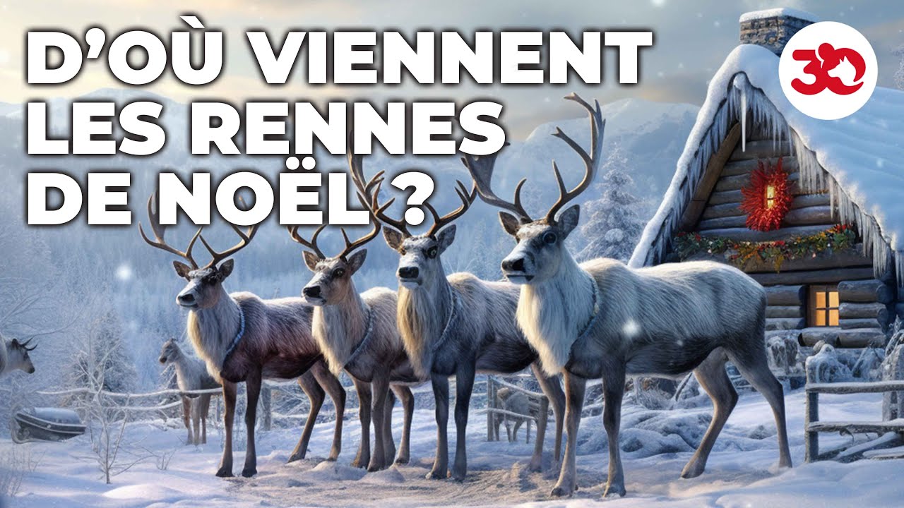 L'histoire des rennes de Noël
