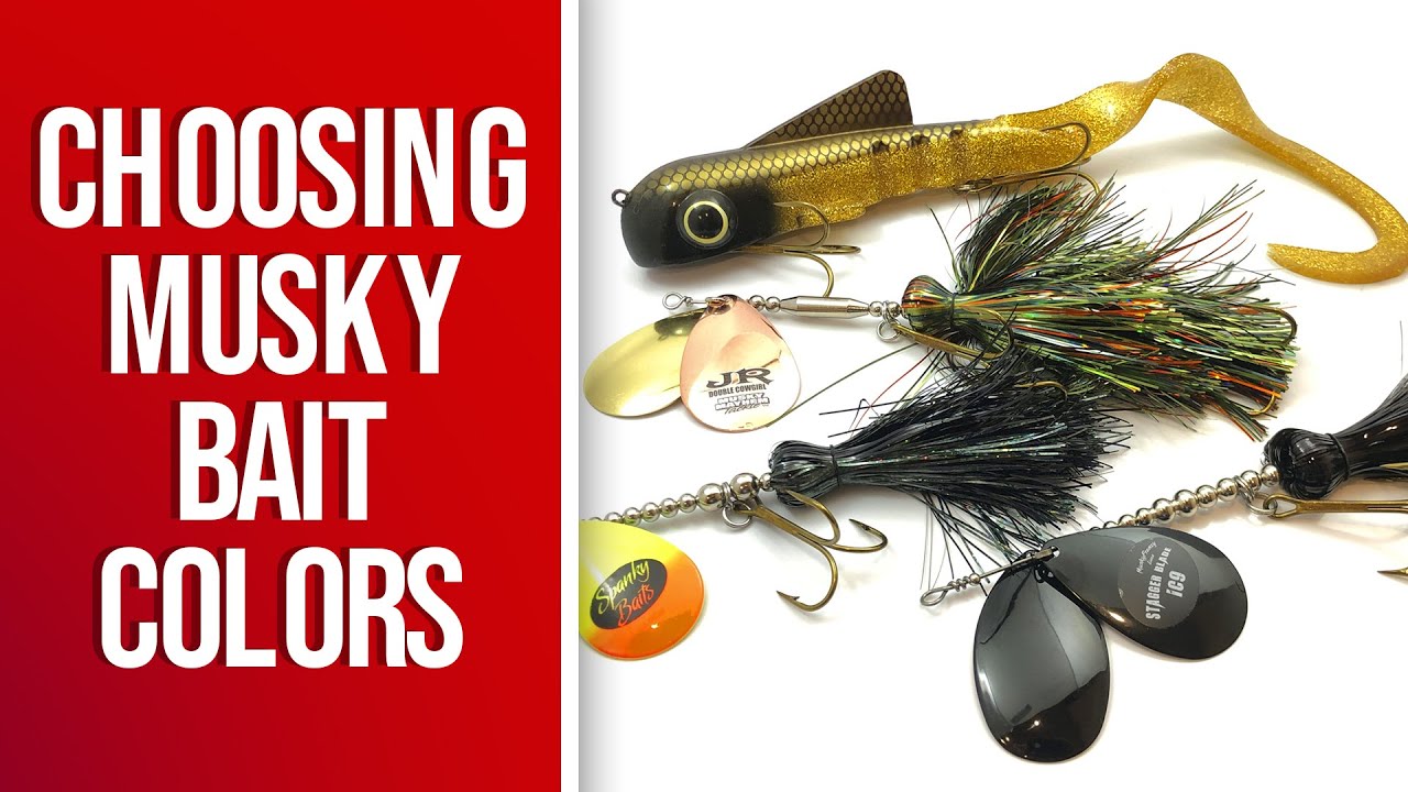 Musky Fishing Basics - Choosing Bait Colors