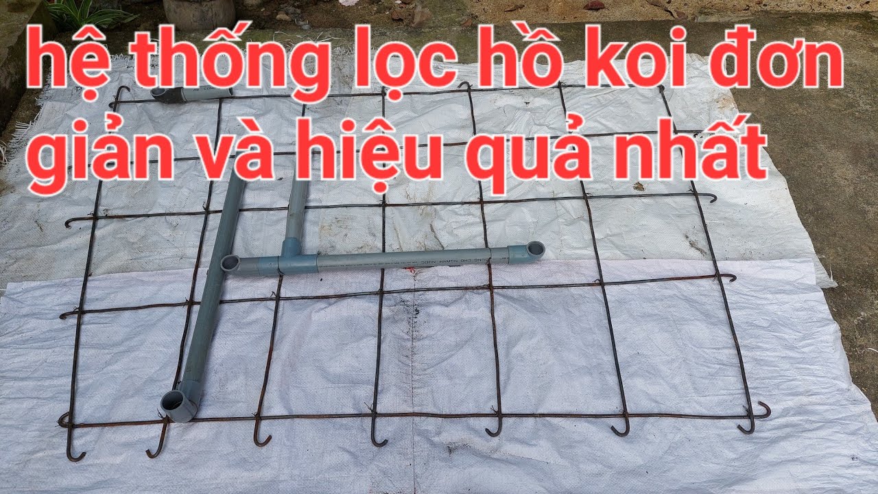 Tập 1- Kỹ thuật lắp đặt hệ thống hầm lọc hồ koi đơn giản mà hiệu quả nhất thời đại