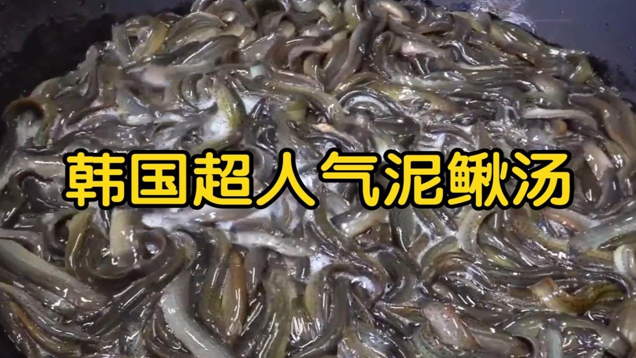 韩国超人气泥鳅汤，男人的最爱，喝上一碗 保你一晚金枪不倒