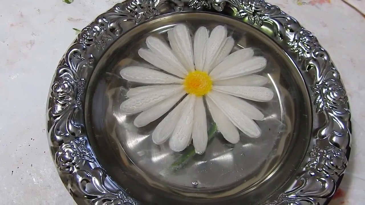 Daisy flower 3d resin paint