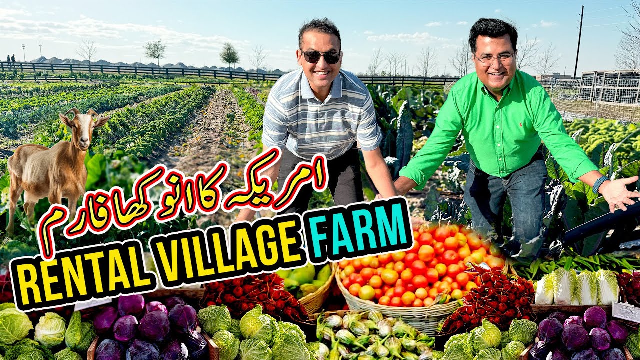 America's unique village farm 😍 Sirf $50 me zameen lo