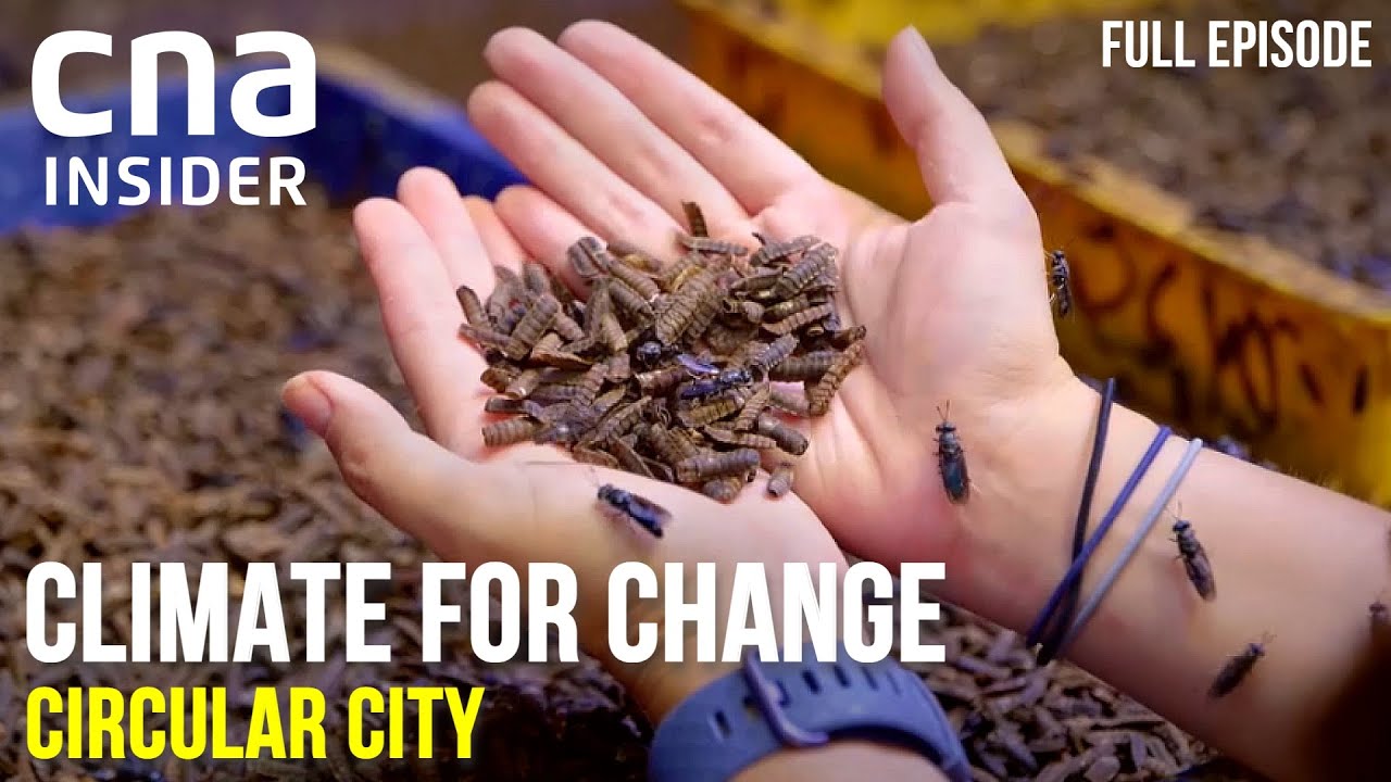 A World Without Waste: Circular Economy | Climate For Change: Closing The Loop | Ep 2/2