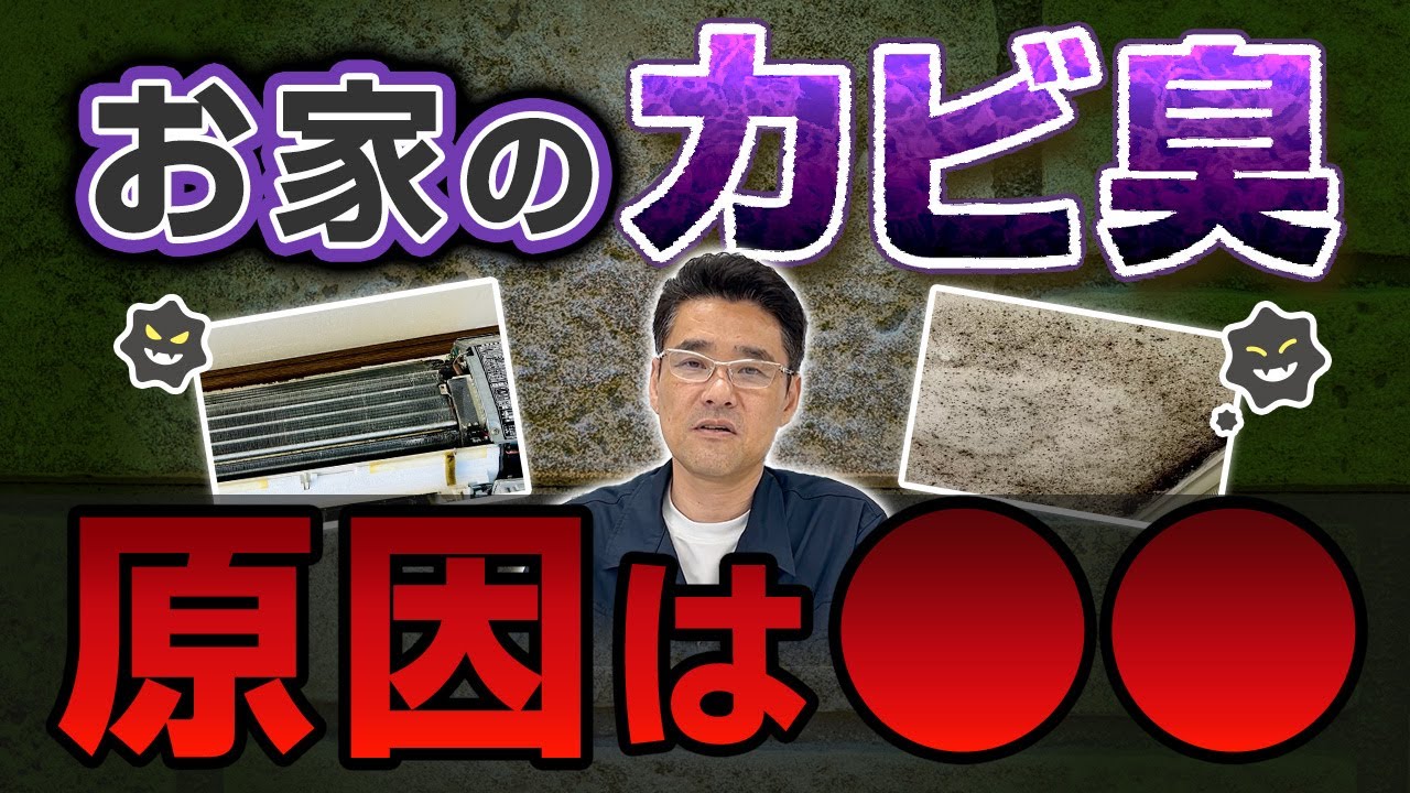 【プロが解説】お家がカビ臭い原因はココ！見逃しがちな発生場所と対策方法