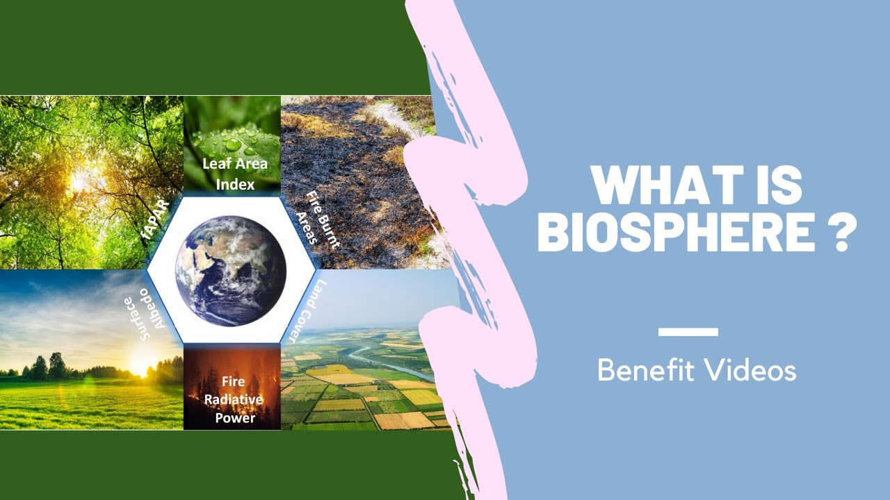 What Is Biosphere ?