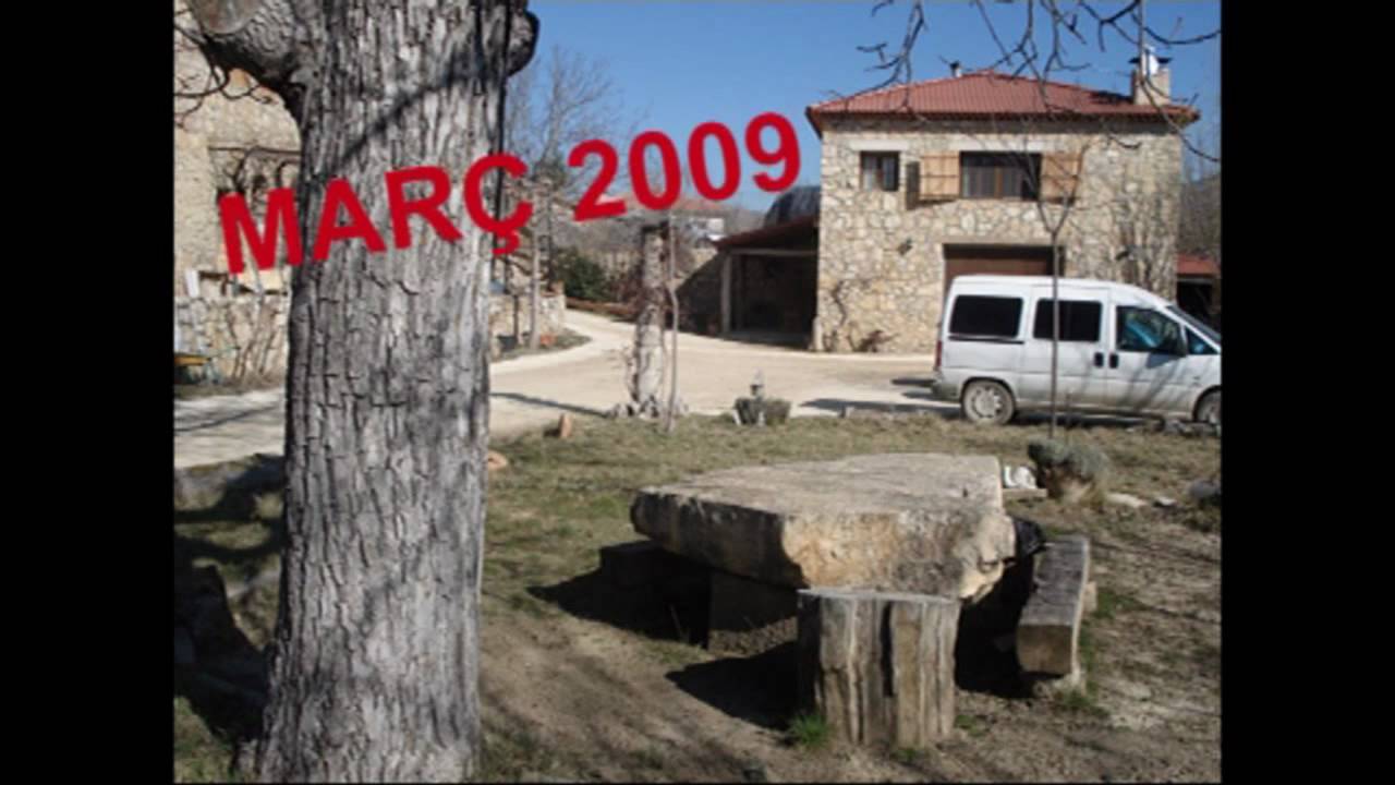 TEJADILLLOS