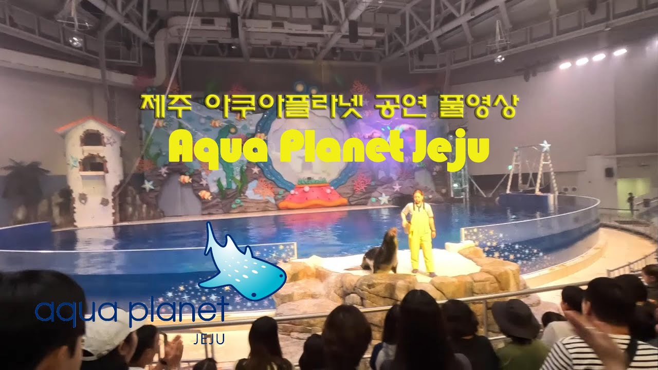 제주아쿠아플레넷 오션아레나 공연 풀영상  "시간 지원"