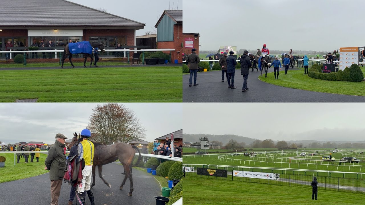 Winners and more winners at Bangor on Dee | Day At The Races