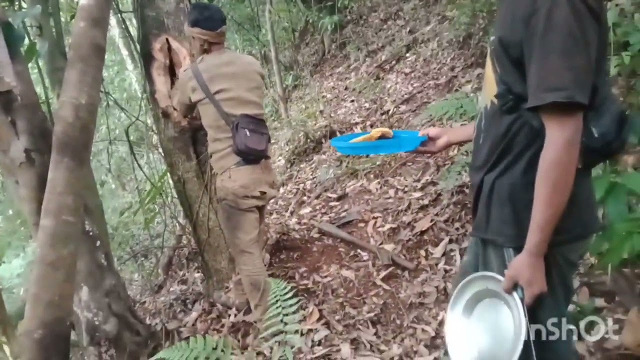 Collecting  sweet honey bee🐝out of a tree 🙊 🤤🤤