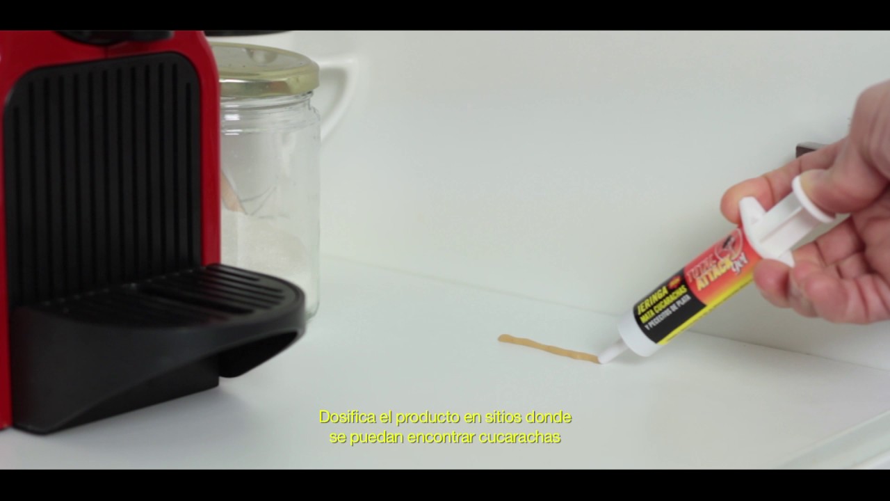ACABA CON LAS PLAGAS DE CUCARACHAS EN 3 DÍAS