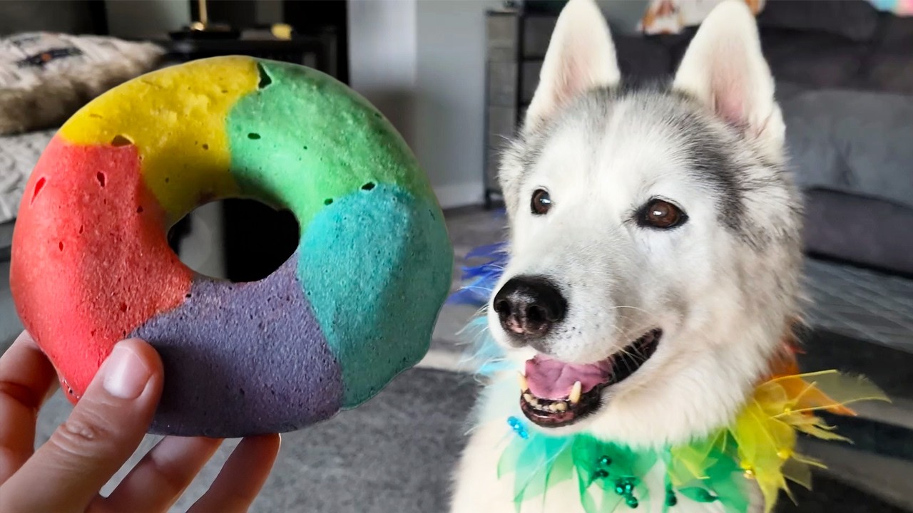 My Dog's Reaction to These Homemade Donuts Was NOT What I Expected! 🧐
