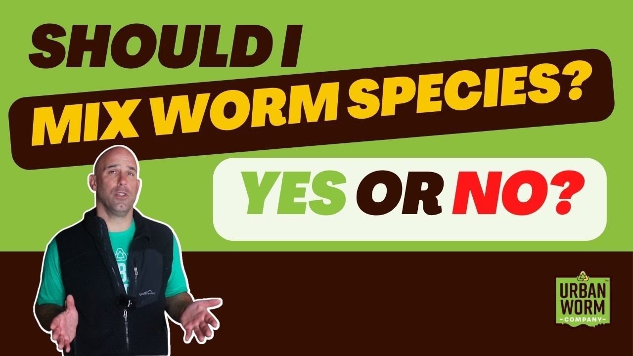Should You Mix Species in Your Worm Bin?