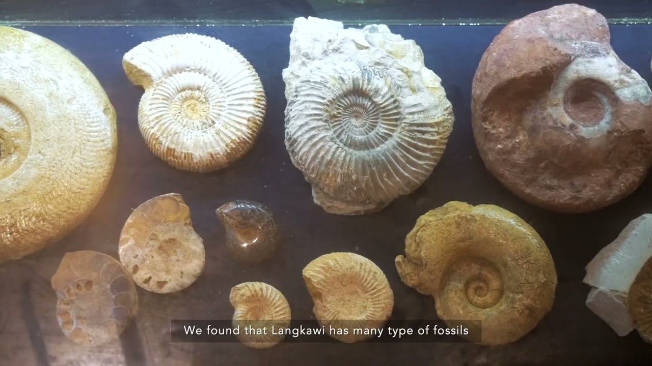 Mini Documentary : Earth’s Heritage -Trilobite Fossil by Prof. Emeritus Dato’ Dr. Ibrahim Komoo