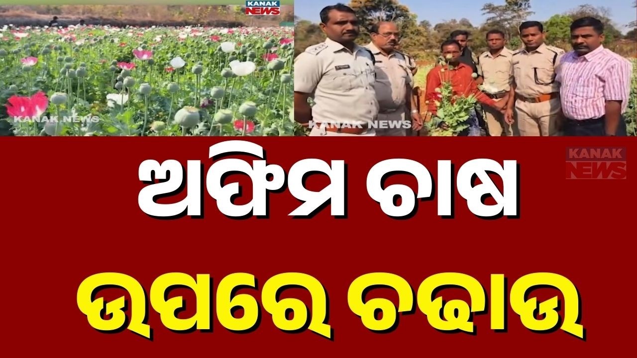 Police Destroy Opium Cultivation Worth 1.5 Lakh | One Arrested in Presence of Magistrate