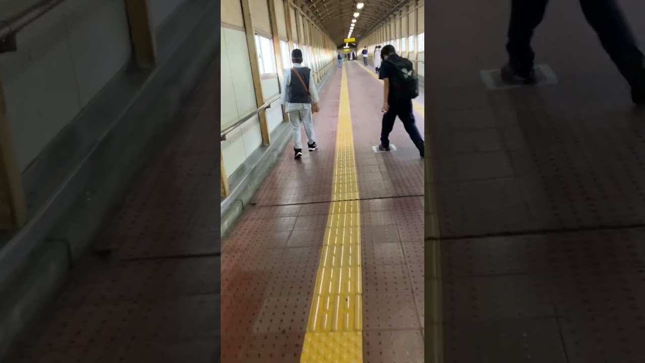 雪視点