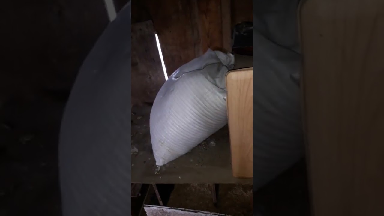 Индоутка асырау 23.10.2022ж.Индоуткаға ұялар дайын,бірақ ұялар құрыққа жатуға емес,әлі ерте құрыққа