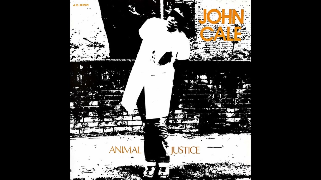 John Cale - Animal Justice (1977)