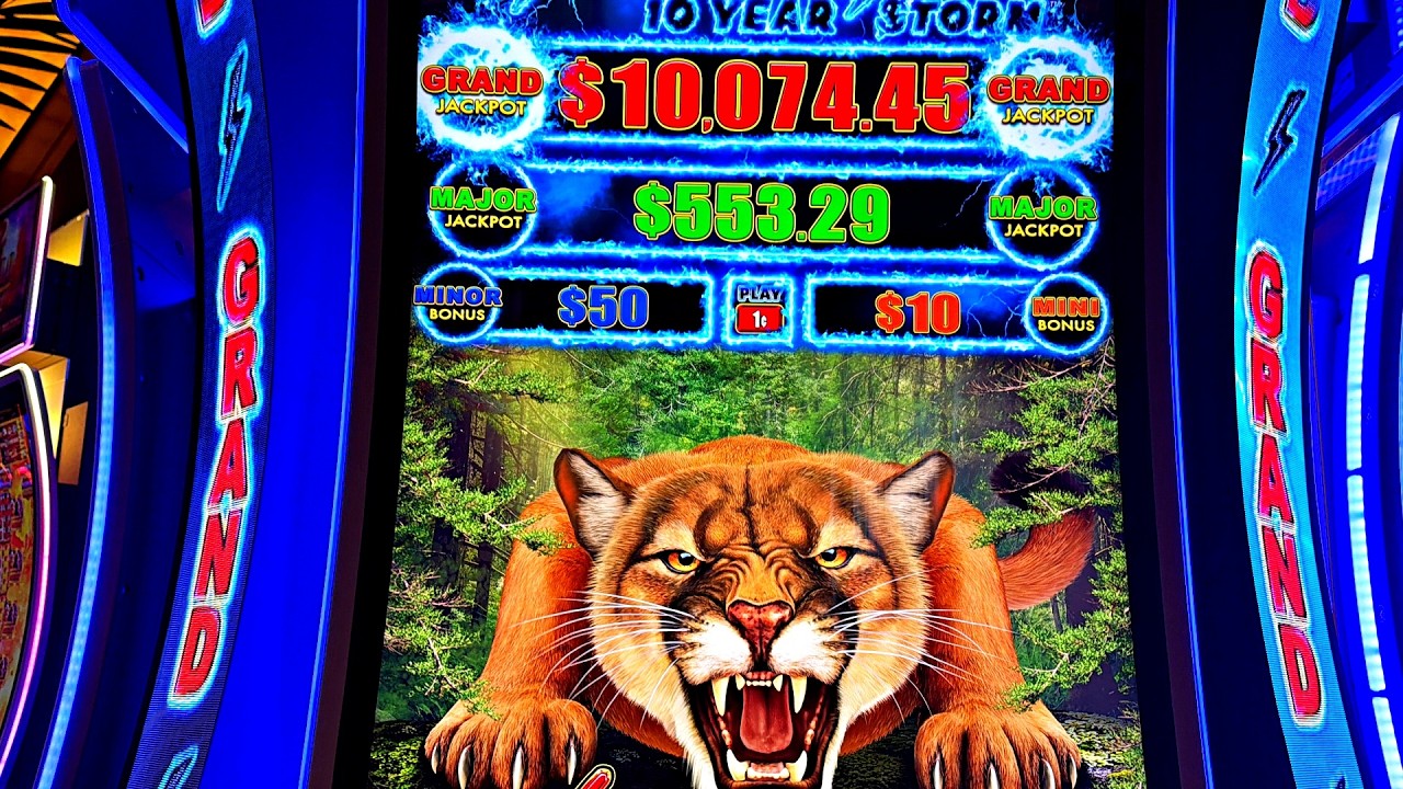 DOUBLE BACK TO BACK BONUS!!!!!!!!!