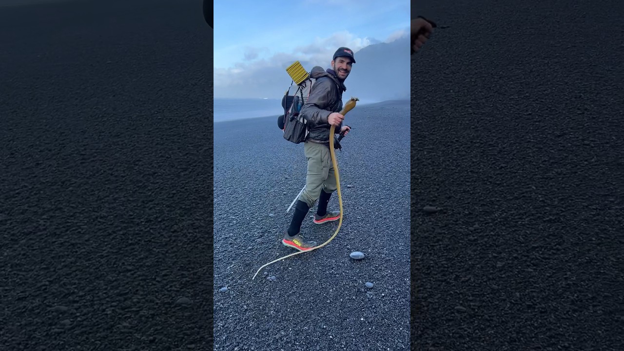 The Lost Coast: California&rsquo;s longest stretch of undeveloped coastline!