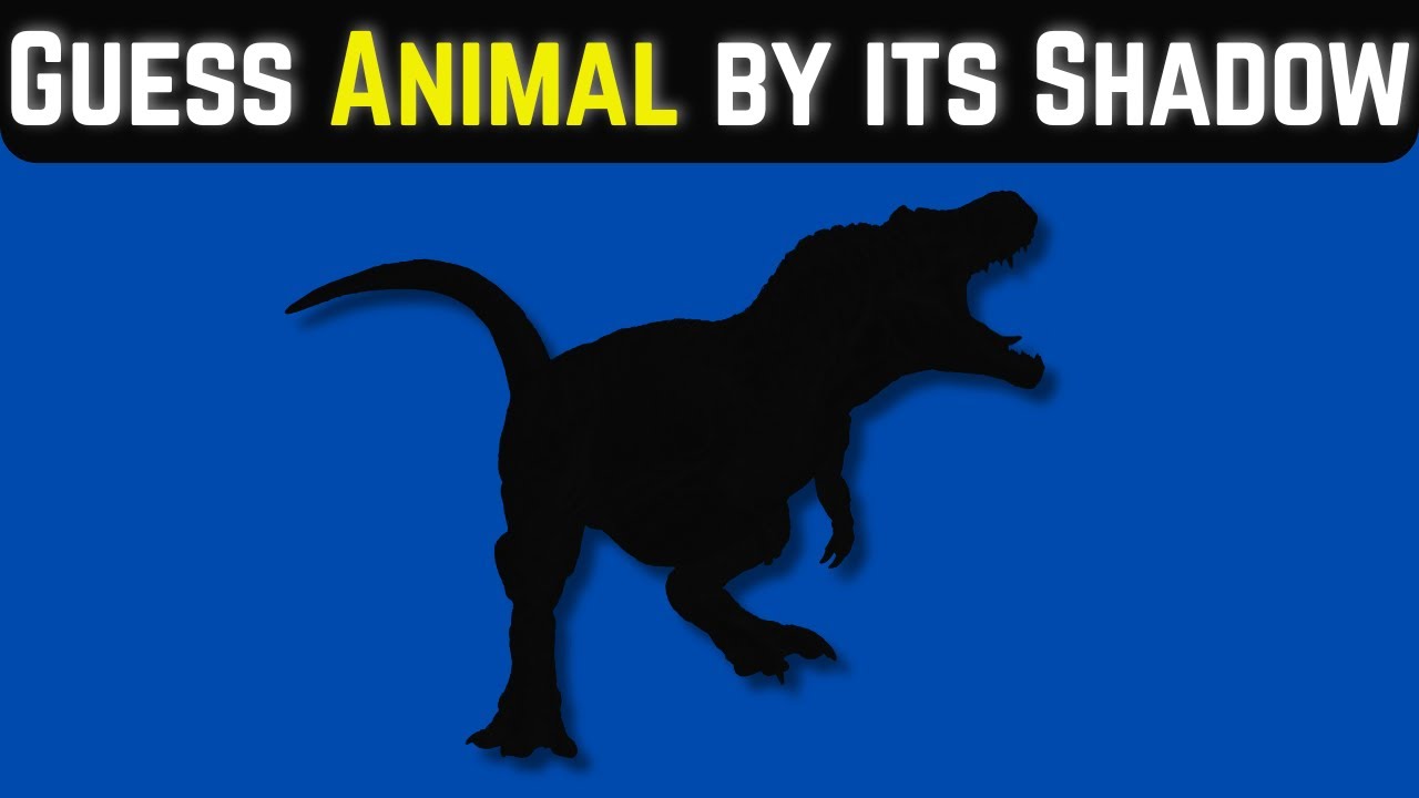 Can You Guess the Animal by Its Shadow? 🐾|| Challenge