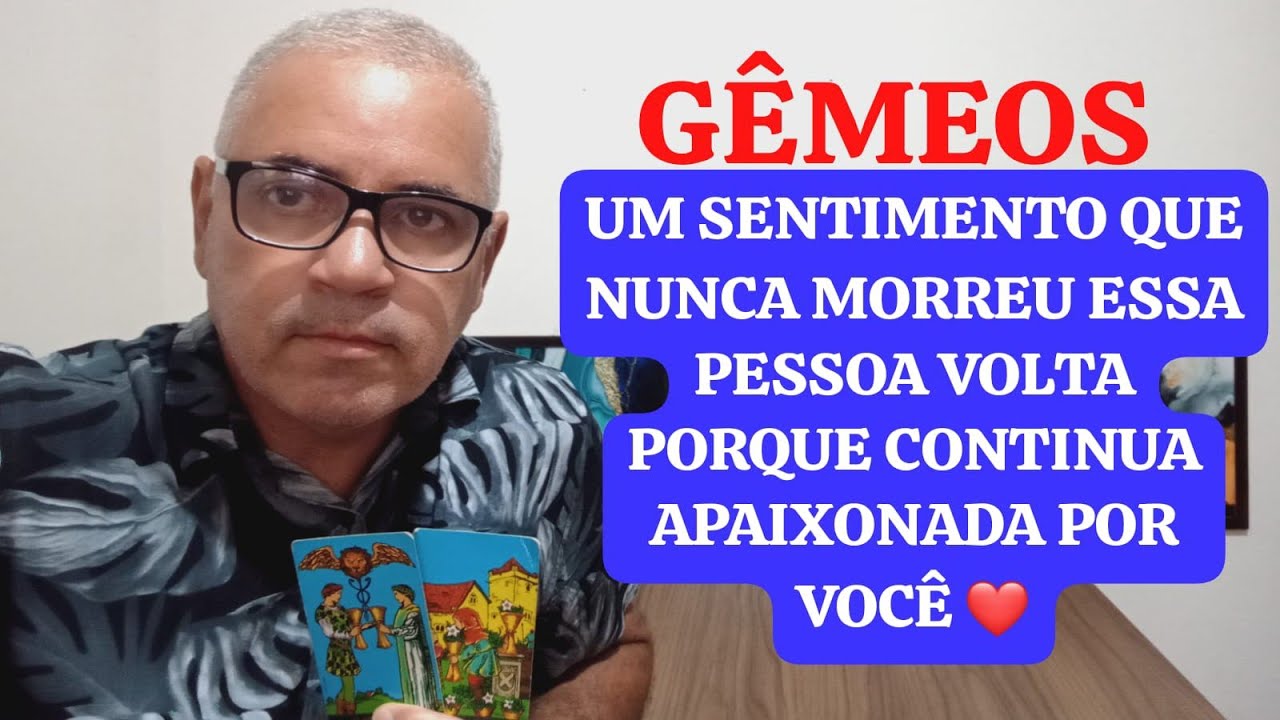 GÊMEOS: UMA VOLTA PARA O LAR UM REENCONTRO FELIZ ❤️