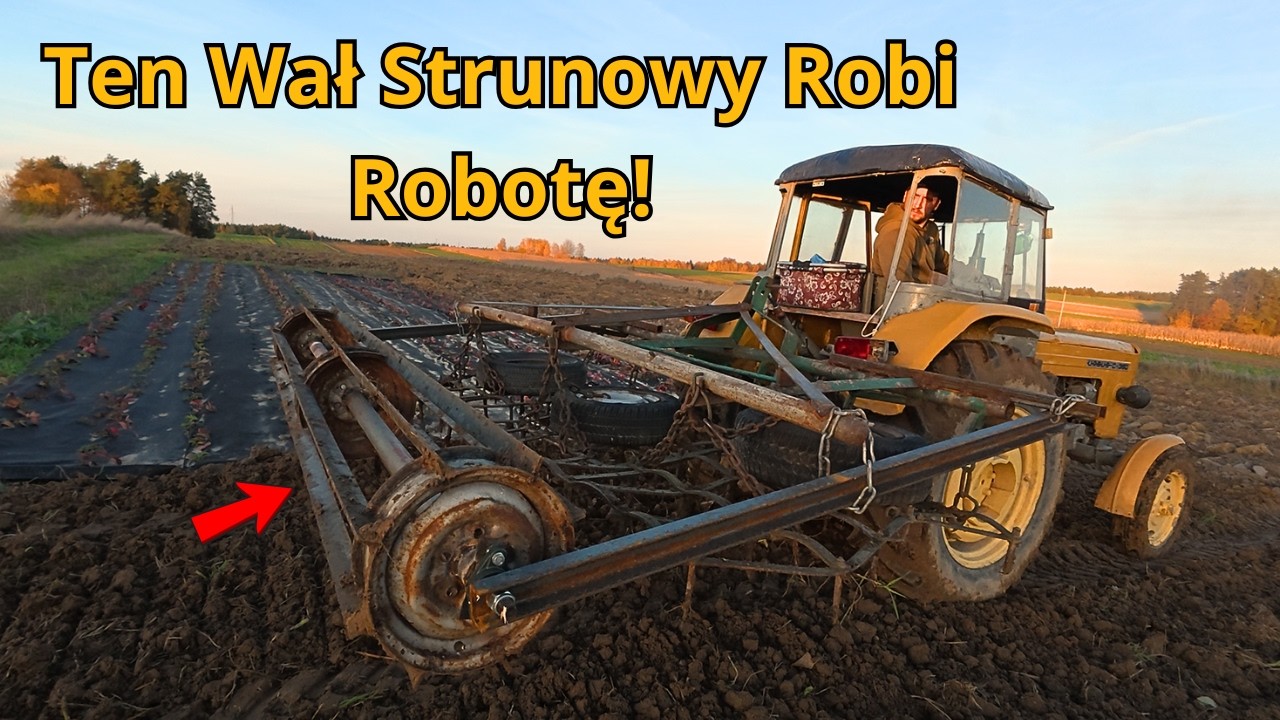 WAŁ STRUNOWY I URSUS ZROBIŁY ROBOTĘ! 🔥 | KONIEC BUDOWY TUNELU FOLIOWEGO NA WARZYWA