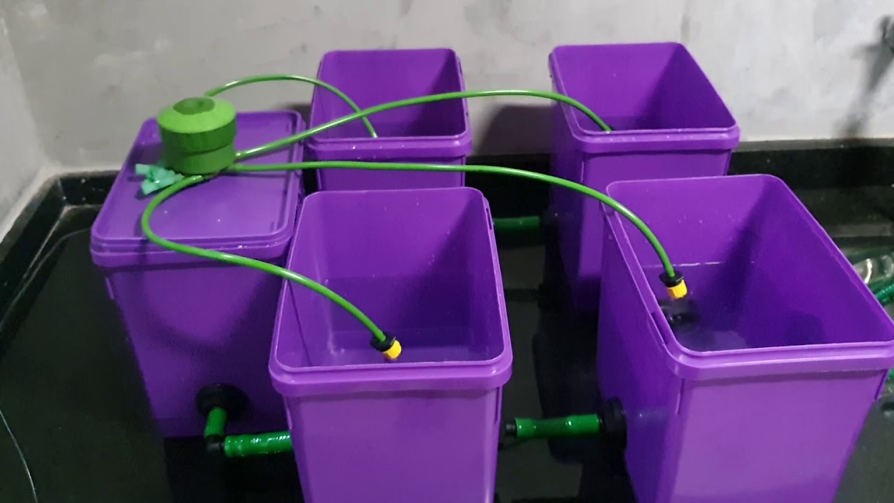 Mini sistema hidrop&ocirc;nico DWC de recircula&ccedil;&atilde;o