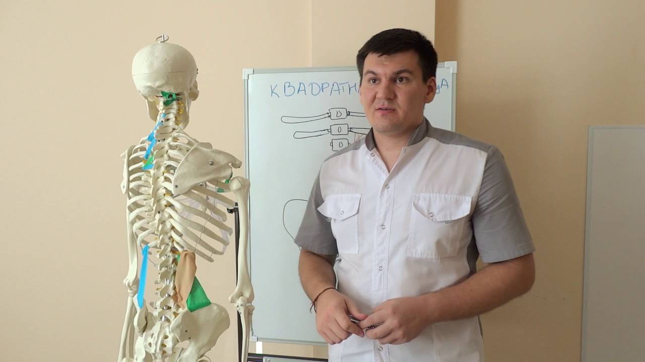 Боль в пояснице. Спазм и слабость квадратной мышцы поясницы.