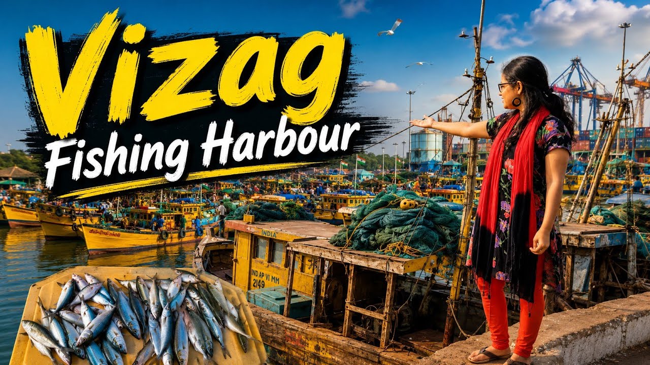 Vizag Fishing Harbour | Exporters Procurement Center | Fishing Harbour | Full Tour | Loki's Journey