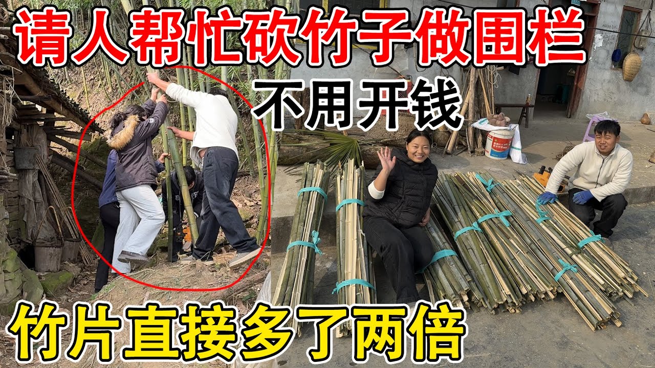 夫妻俩请人帮忙砍竹子却不开工钱，五个人砍了一片竹林  竹片多到用不完，不用担心围栏不够了