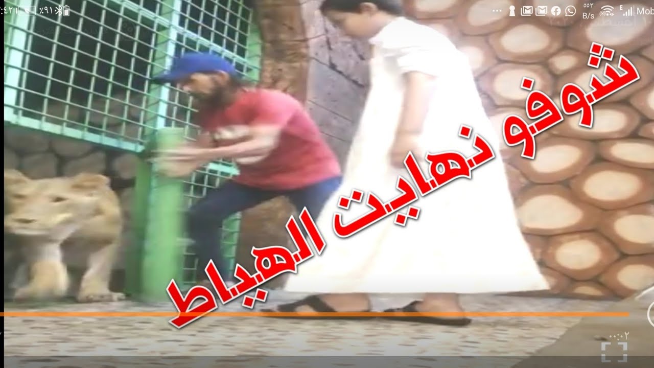 حديقة الحيوانات في الطايف شوفو نهايت الهياط