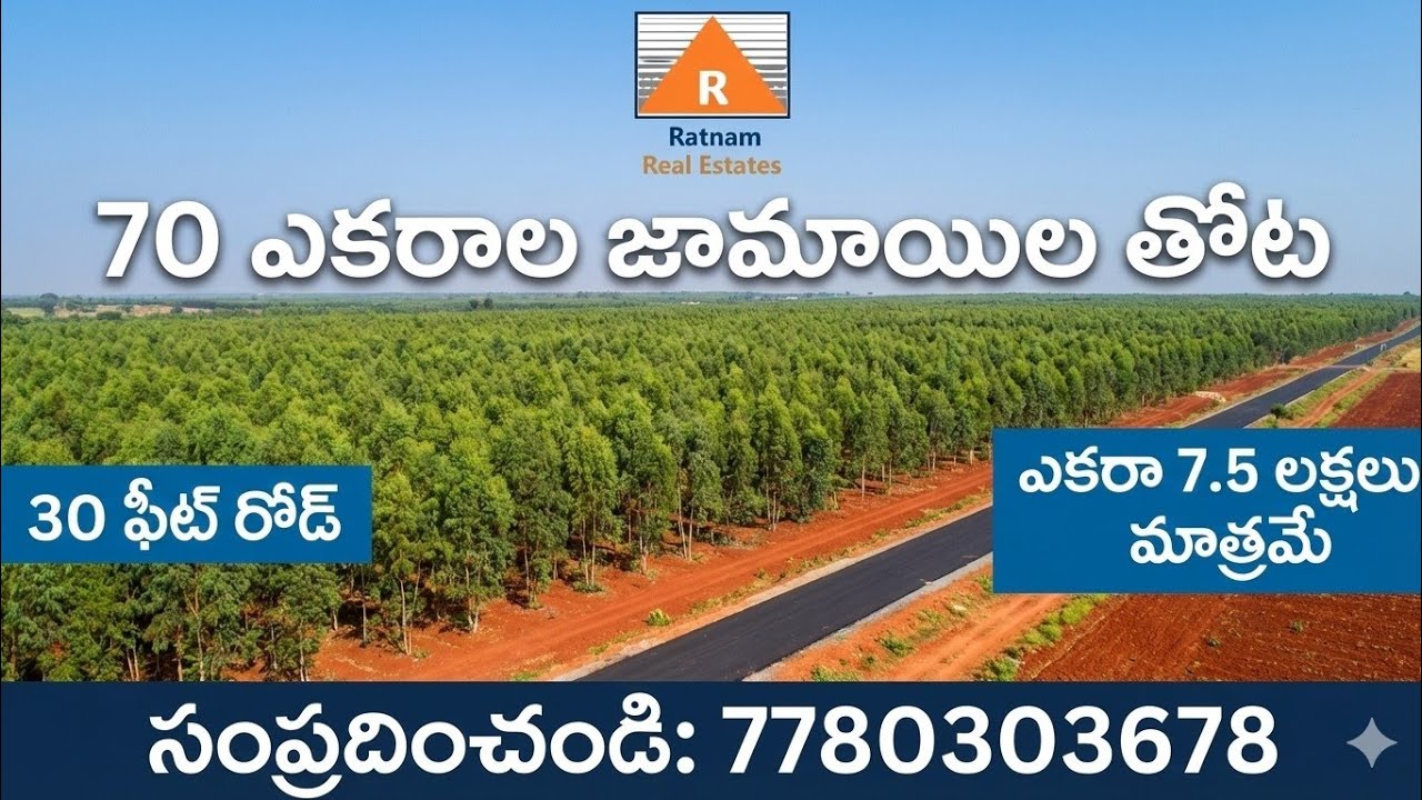 70 ఎకరాల జామాయిల్ తోట సేల్.30 అడుగుల గ్రావెల్ రోడ్ అనుకొని తారు రోడ్డు నుండి 0.5 km