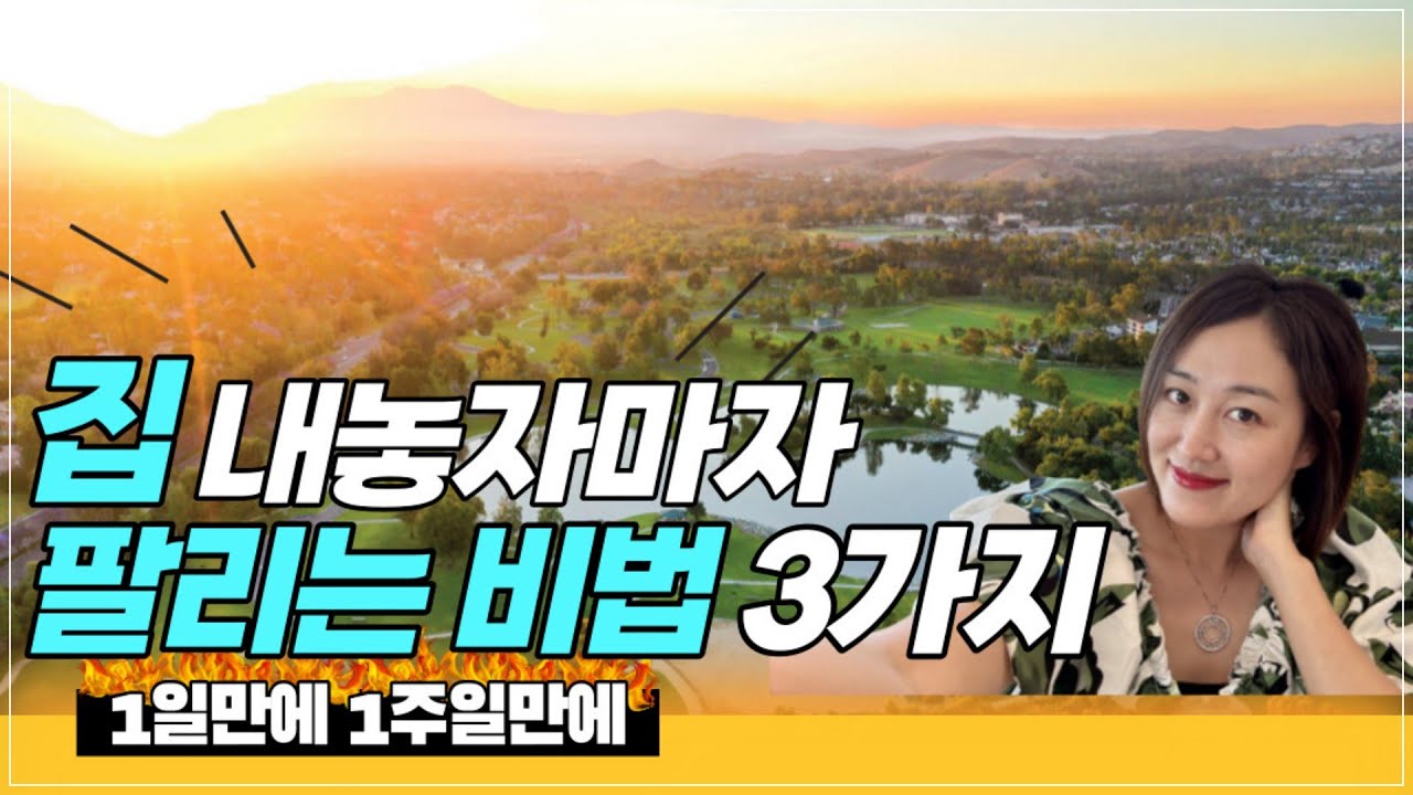 1일 만에 1주일 만에 집 파는 법