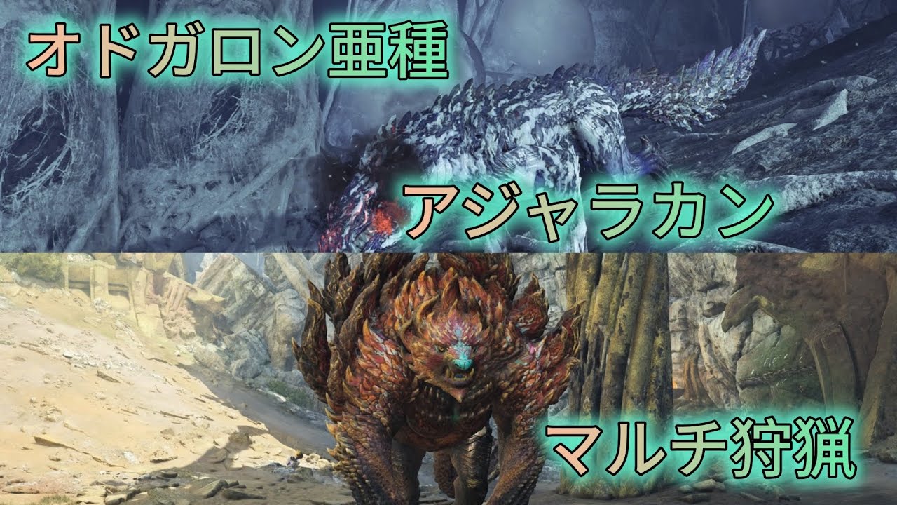 オドガロン亜種とアジャラカン狩猟「モンハンワイルズ」