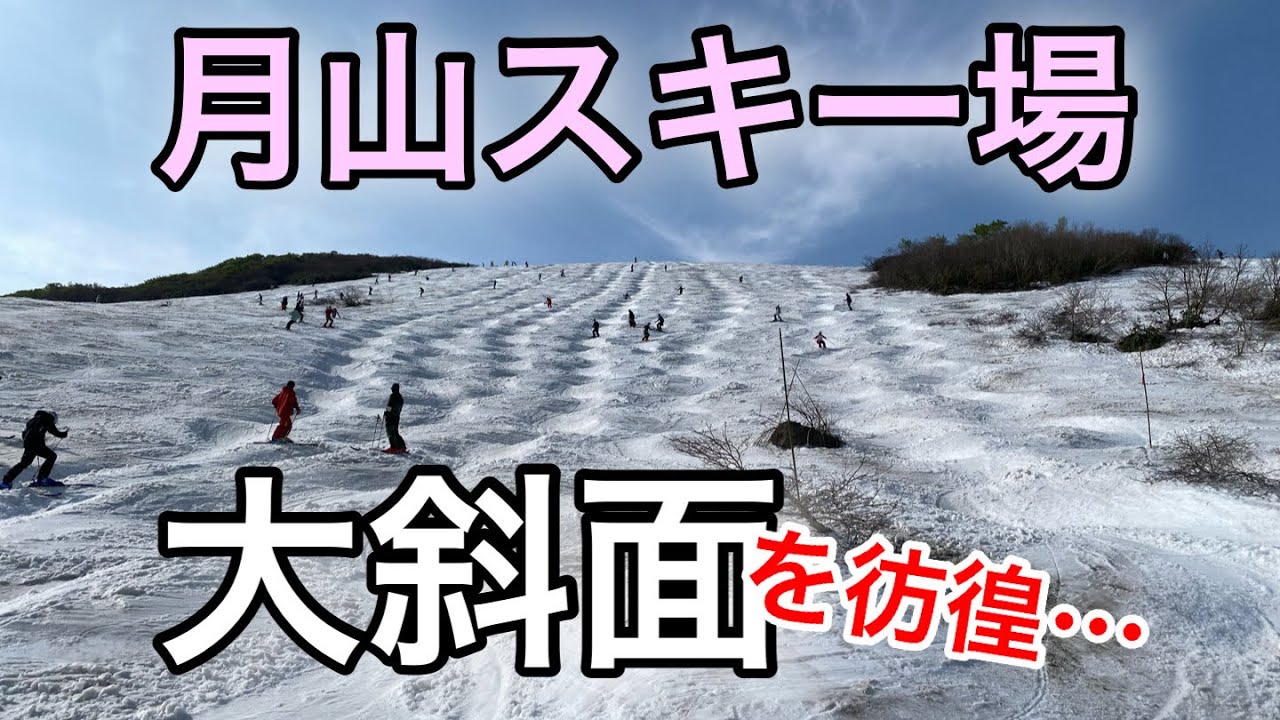 【月山スキー場】これが月山の大斜面コブ2025年6月7日コースレポ