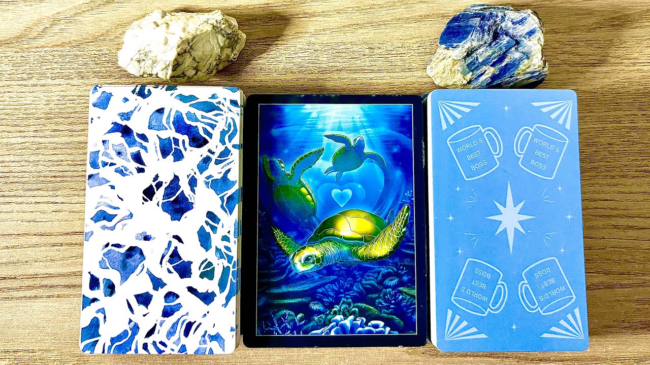 COMO SERÃO SUAS PRÓXIMAS 48 HORAS? 🧜🏼‍♀️🌊🐚🪸💫🫧✨✨✨