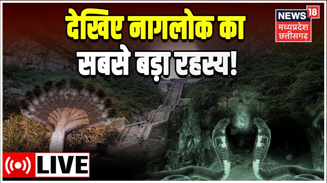 Naglok Live News : जानिए नागलोक का सबसे बड़ा रहस्य  | Naglok News । Latest Hindi News