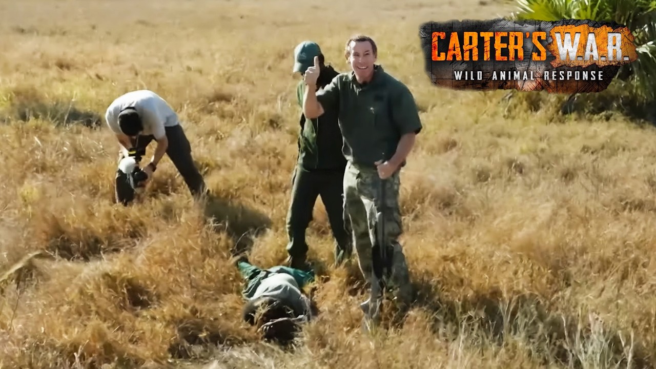 I Spent 24 Hours Hunting Ruthless Animal Poachers | Carters WAR
