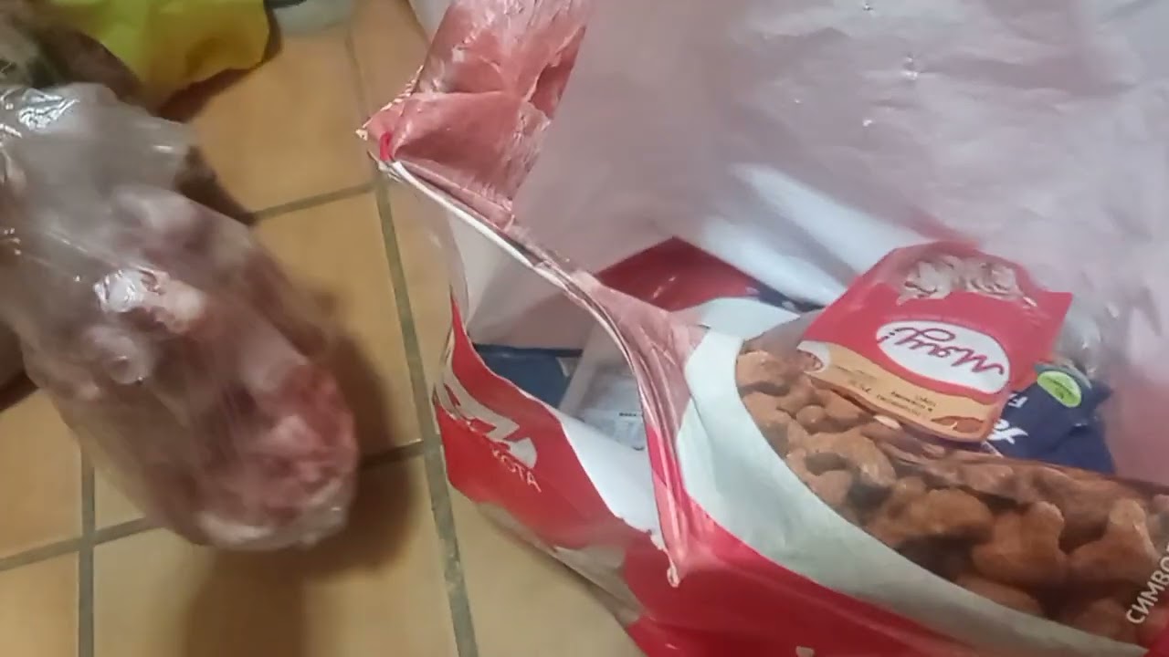 Помогите пожалуйста хвостикам на корм и лечение!!!