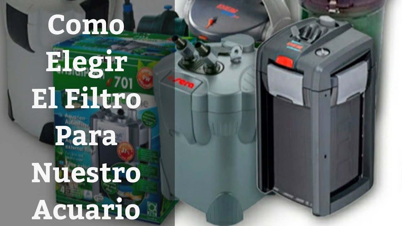 🔵 Como Elegir El Mejor Filtro Para El Tamaño Del Acuario (Acuarios MB)