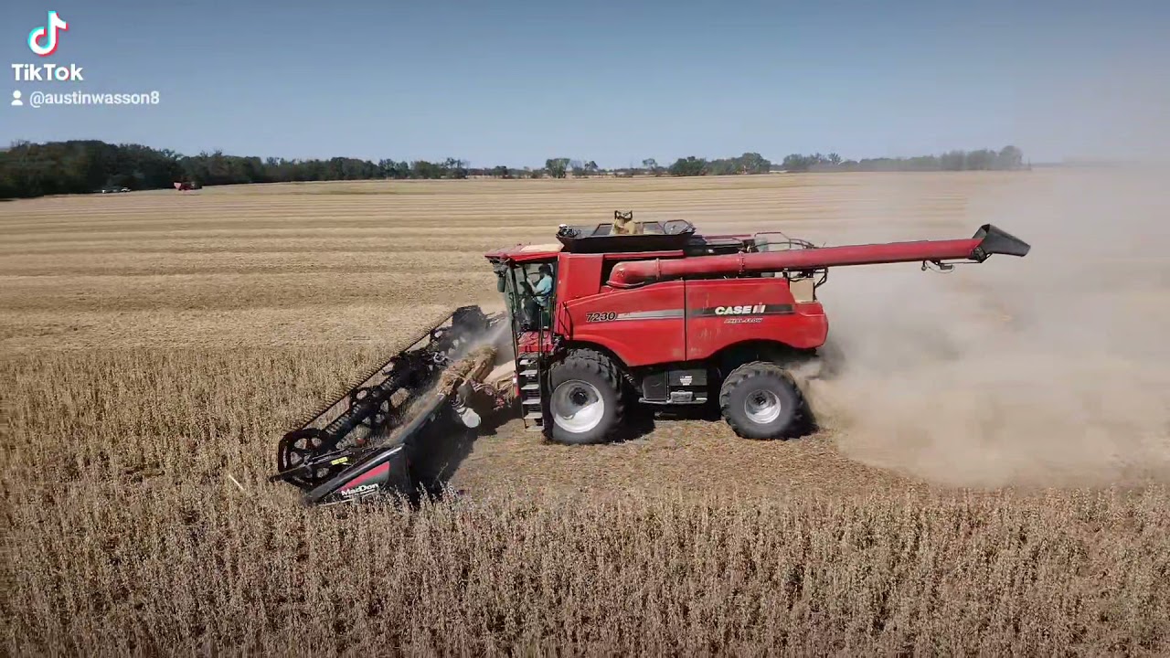 2021 harvest video