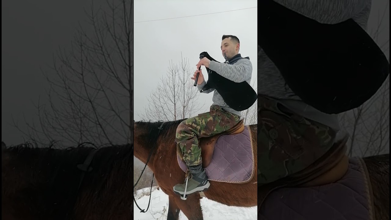 Един прекрасен ден в Родопите 😍🇧🇬🐴