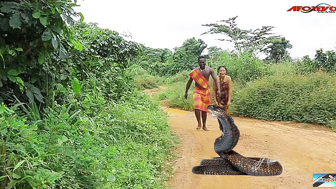 My Ghost Retun As A Snake To Revenge My Evil Sister Who Poison Me & Took My Man- Nigerian Movies