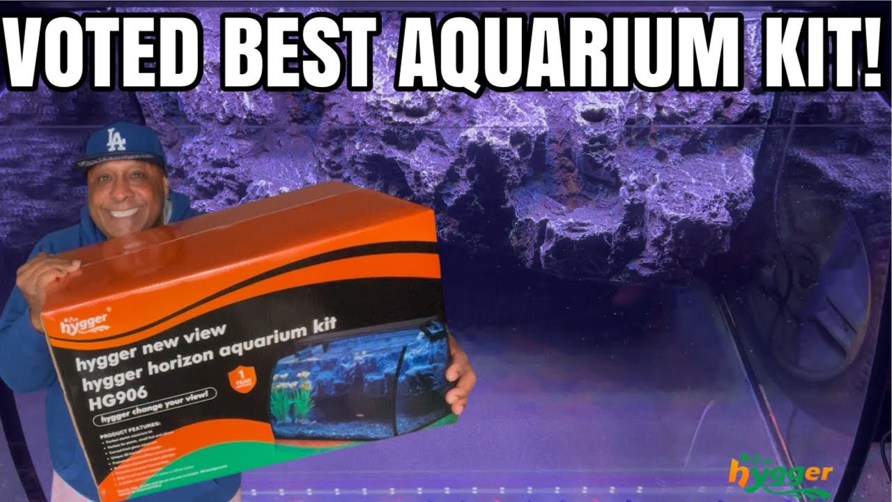 BEST Aquarium Kit on a Budget!